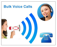 voice calls